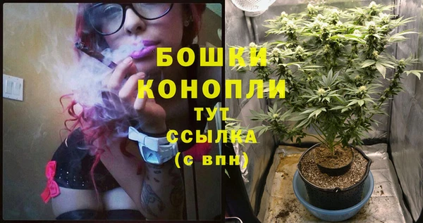 шишки Армянск