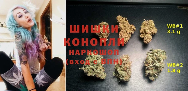 шишки Армянск