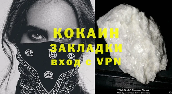 шишки Армянск