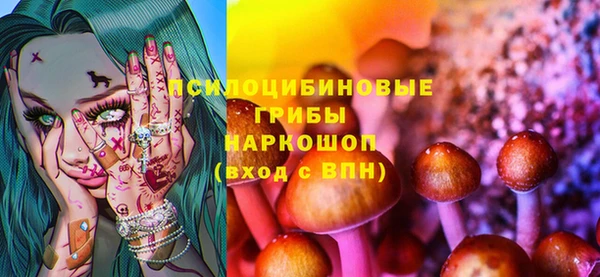 шишки Армянск