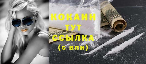 шишки Армянск